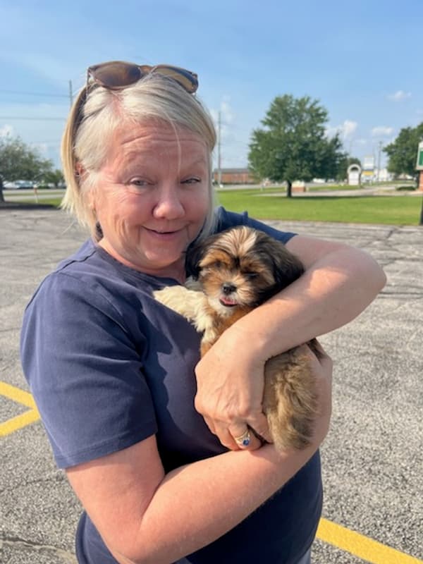 Customer photo of Shih Tzu puppy from Cynthia L.