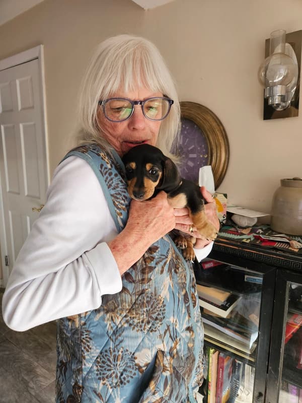 Customer photo of Dachshund, Mini puppy from Lynne P.