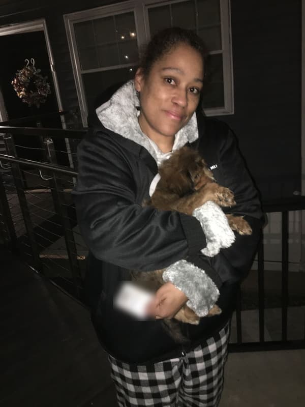 Customer photo of Bernedoodle, Mini puppy from Dywanna B.