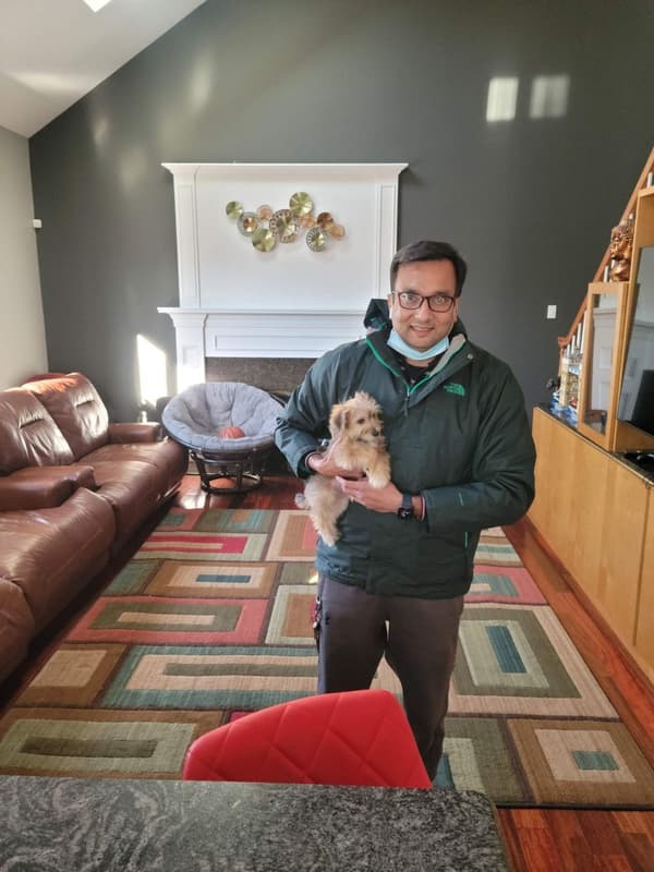 Customer photo of Yorkiechon puppy from Rakesh P.