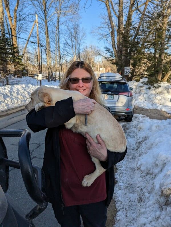 Customer photo of Labrador Retriever puppy from Trudy N.