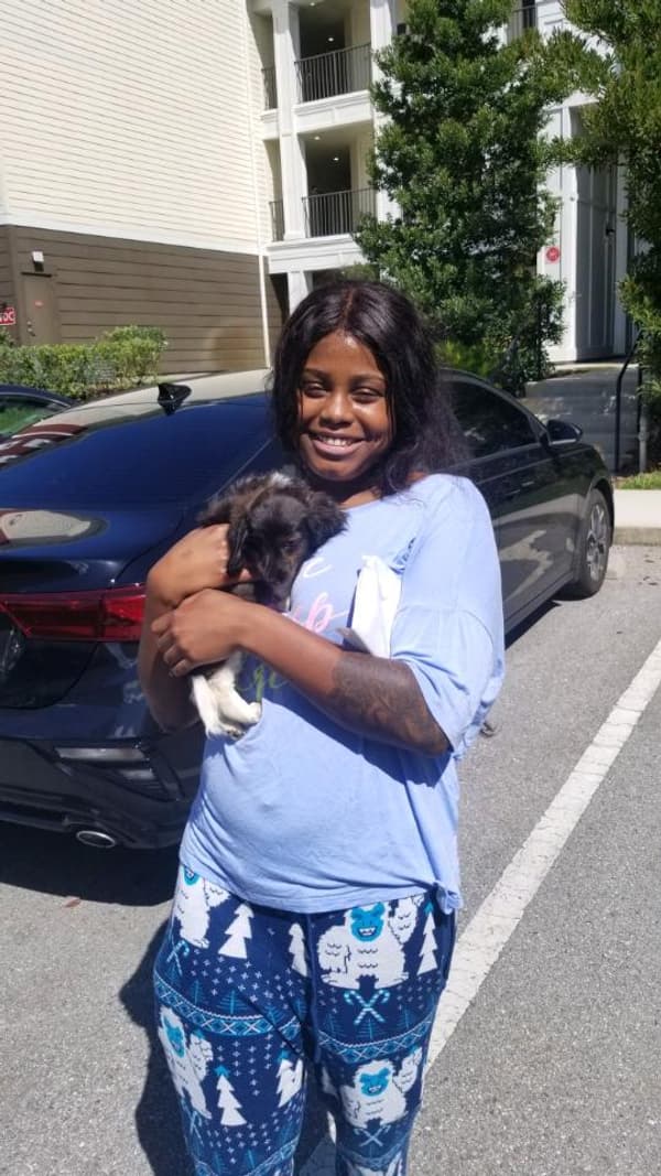 Customer photo of Dachshund, Mini puppy from Kayluh F.