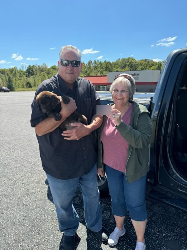 Customer photo of Labrador Retriever puppy from Pamela S.