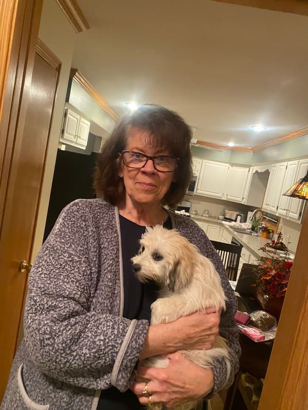 Customer photo of Coton De Tulear puppy from Carole F.