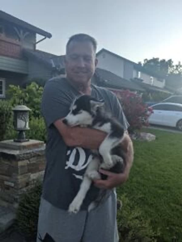 Customer photo of Siberian Husky puppy from Todd K.