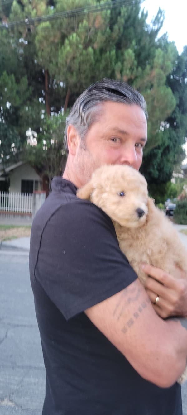 Customer photo of Goldendoodle, Mini puppy from David R.