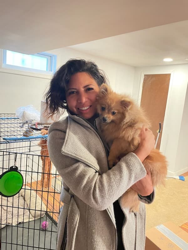 Customer photo of Pomeranian puppy from Karen S.