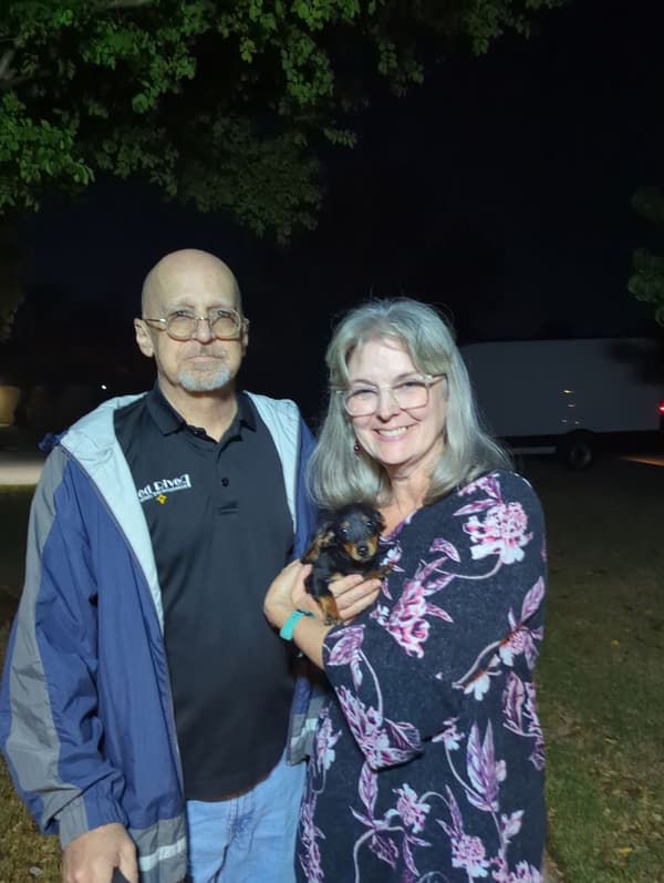 Customer photo of Dachshund, Mini puppy from Tom W.