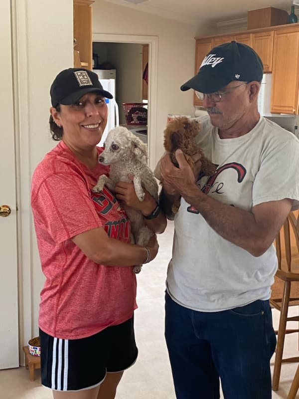 Customer photo of Poodle, Toy puppy from Annette R.