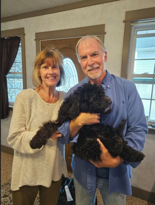 Customer photo of Goldendoodle, Mini puppy from Gregory G.