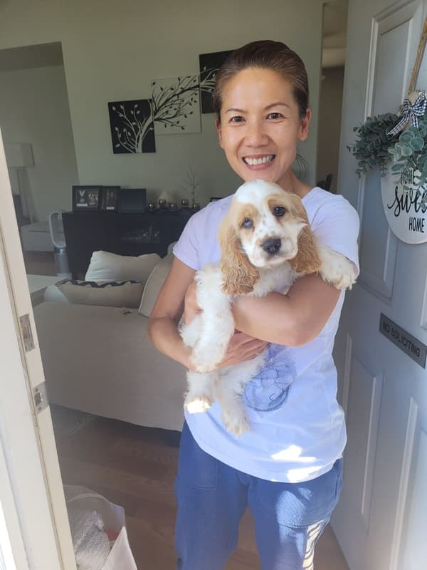 Customer photo of Cocker Spaniel puppy from Iva C.
