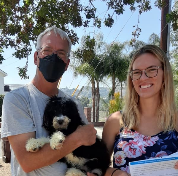 Customer photo of Sheepadoodle puppy from Christiane B.