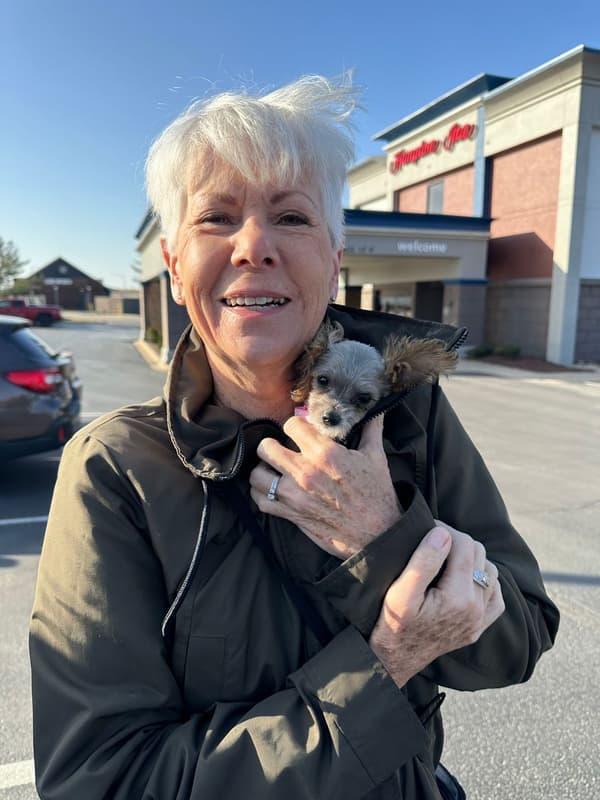 Customer photo of Schnoodle puppy from Becky M.