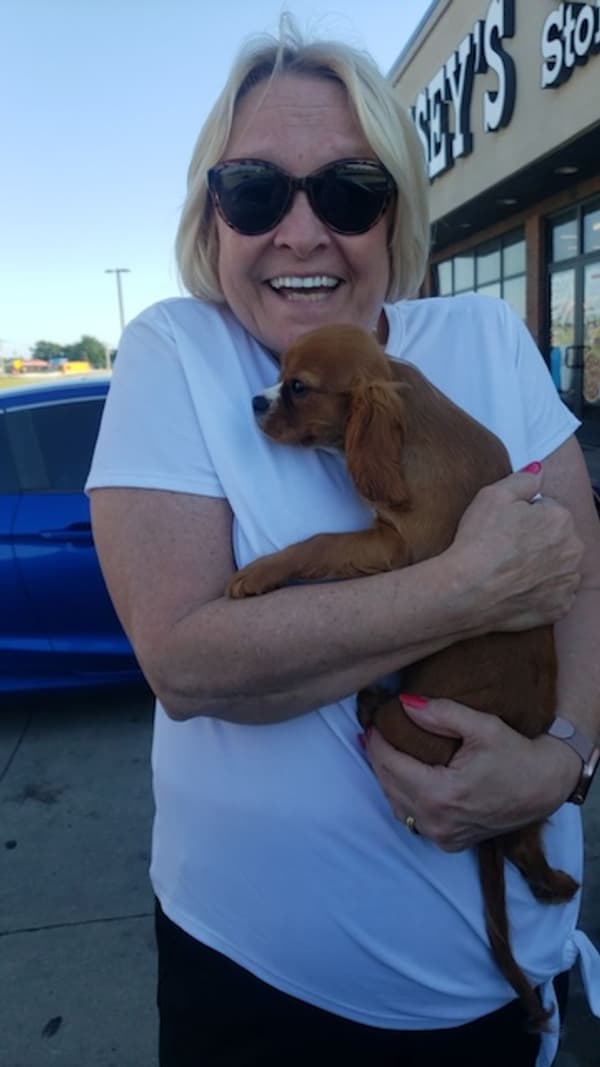 Customer photo of Cavalier King Charles Spaniel puppy from Lynne G.