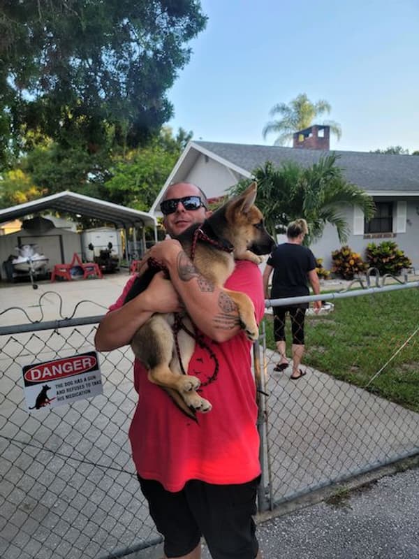 Customer photo of Gerberian Shepsky puppy from Dalton F.