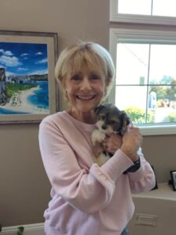 Customer photo of Yorkshire Terrier - Yorkie puppy from Linda R.