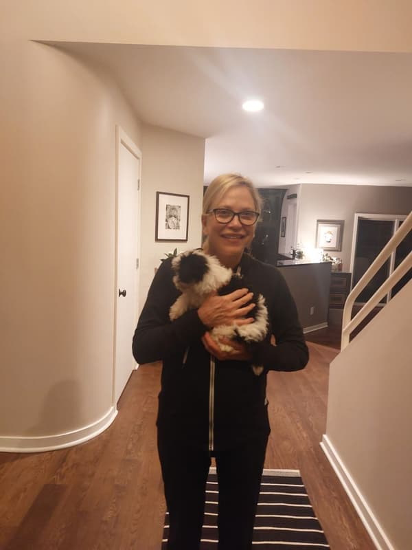Customer photo of Havanese puppy from Cathleen Olson