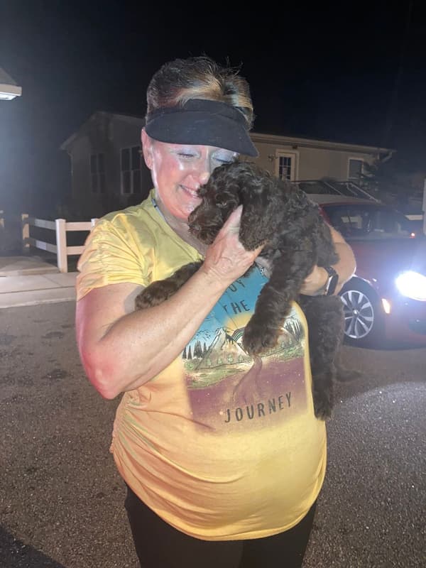 Customer photo of Labradoodle puppy from Jackie B.