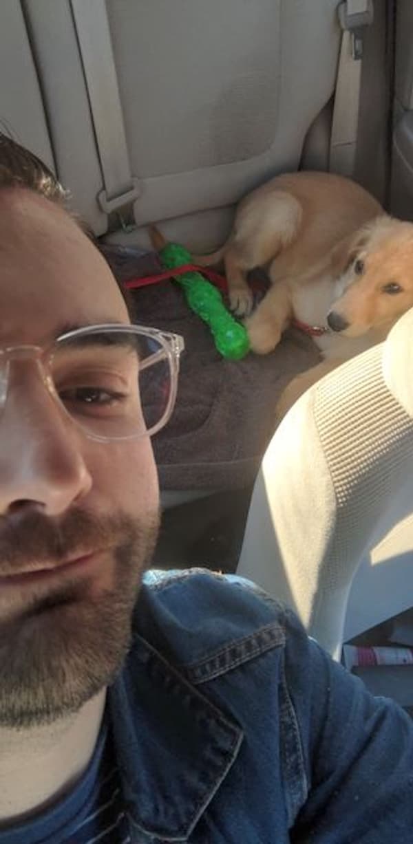 Customer photo of Golden Retriever puppy from Joshua L.