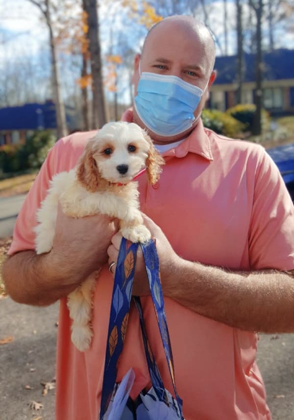 Customer photo of Cockapoo puppy from John T.