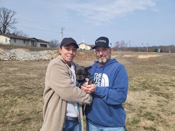 Customer photo of French Bulldog puppy from Robert K.