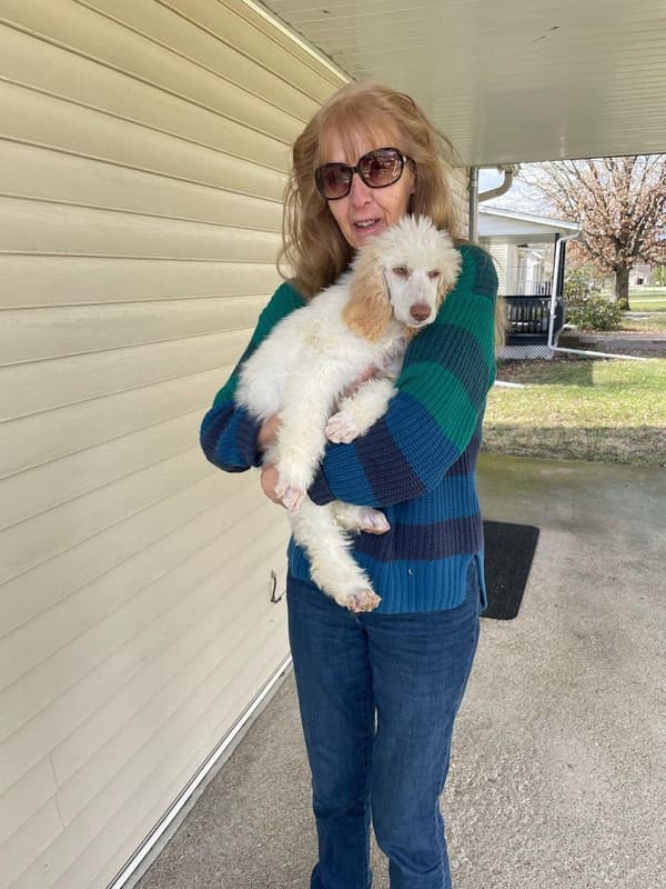 Customer photo of Poodle, Standard puppy from Jeannie G.