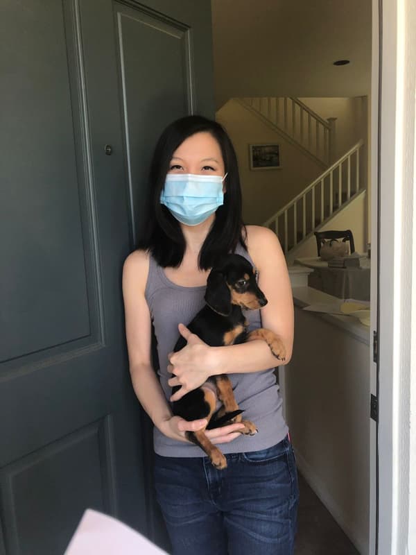 Customer photo of Doxle puppy from Cheryl Y.