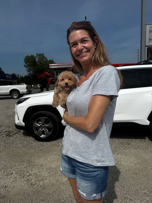 Customer photo of Poodle, Miniature puppy from Michele M.