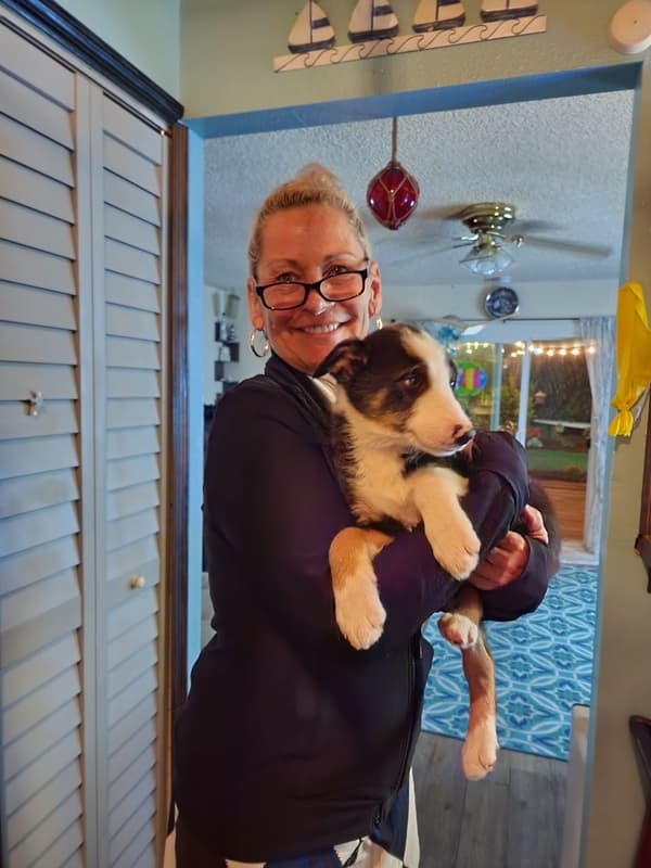 Customer photo of Border Collie puppy from Donna H.