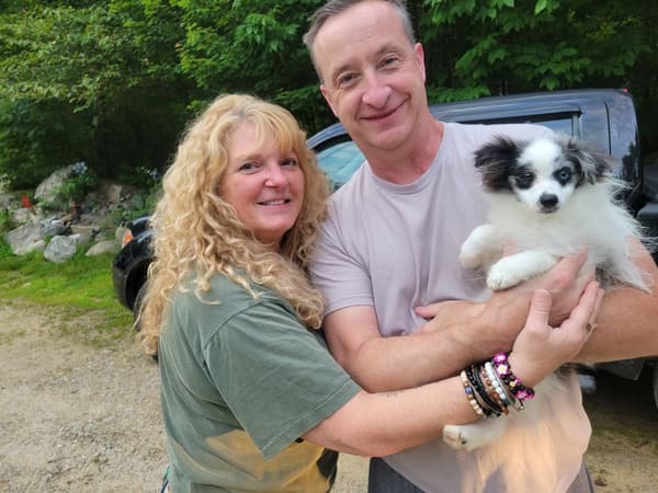 Customer photo of Pomeranian puppy from Melissa L. 