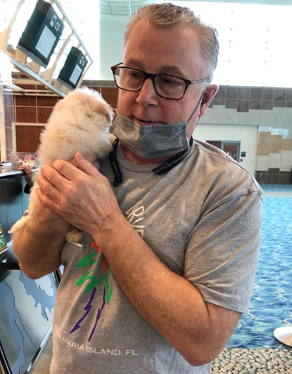 Customer photo of Malti Poo - Maltipoo puppy from Chase B.