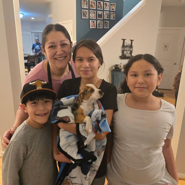 Customer photo of Puggle puppy from Magaly M.