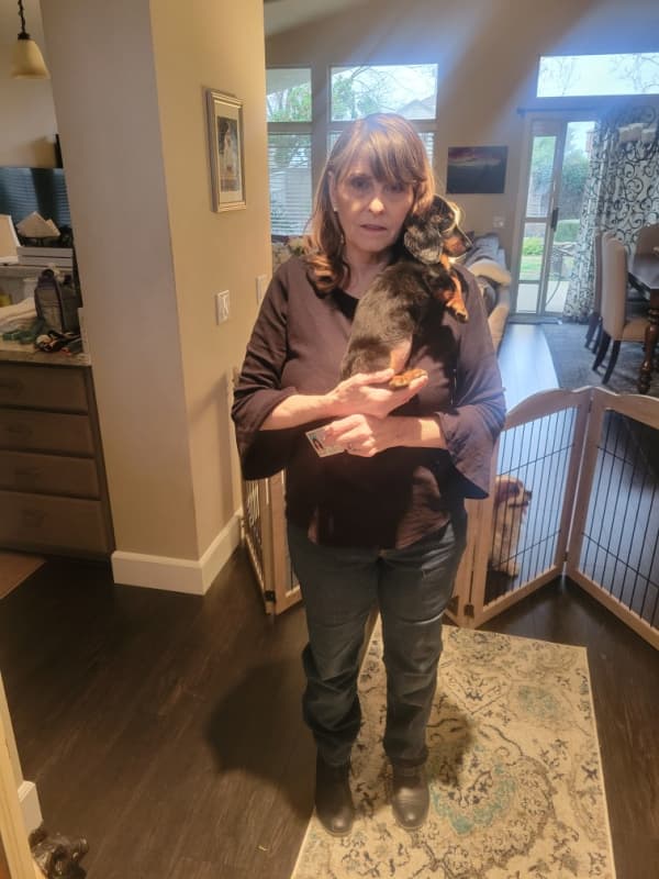Customer photo of Dachshund, Mini puppy from Salli S.