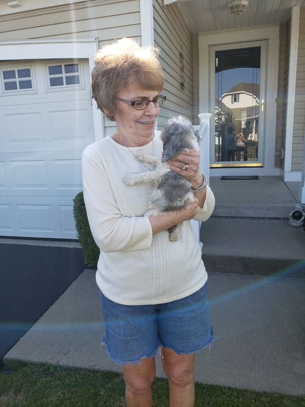 Customer photo of Cockachon puppy from Thomas B.