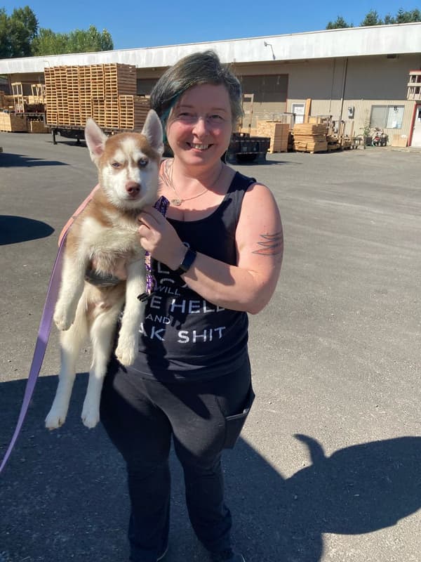 Customer photo of Siberian Husky puppy from Audra K.