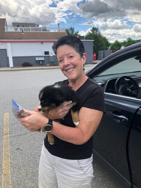 Customer photo of Miniature Australian Shepherd puppy from Judith I.