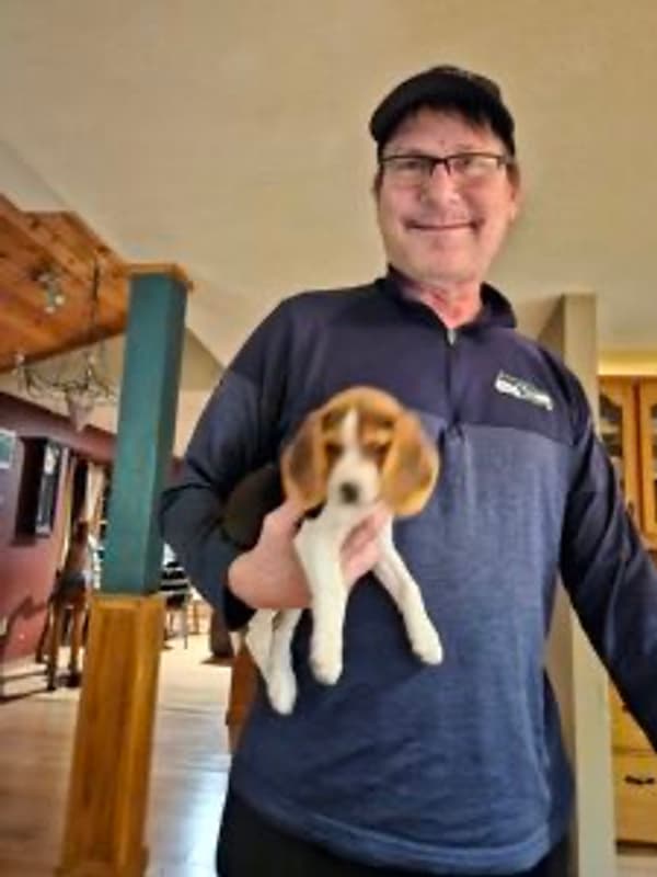 Customer photo of Beagle puppy from Steven C.