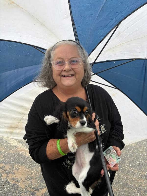 Customer photo of Cavalier King Charles Spaniel puppy from Edith L.