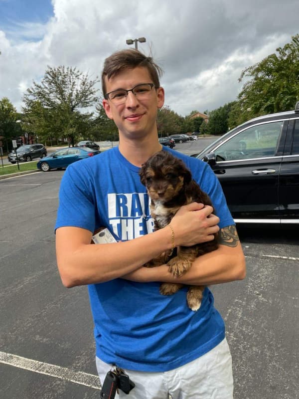 Customer photo of Aussiedoodle puppy from Colson T.