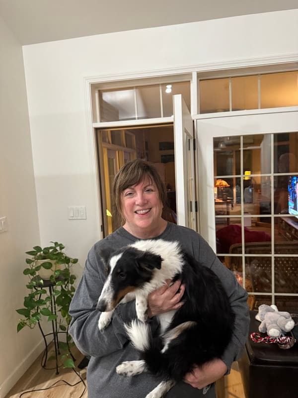 Customer photo of Shetland Sheepdog - Sheltie puppy from Patrice P.