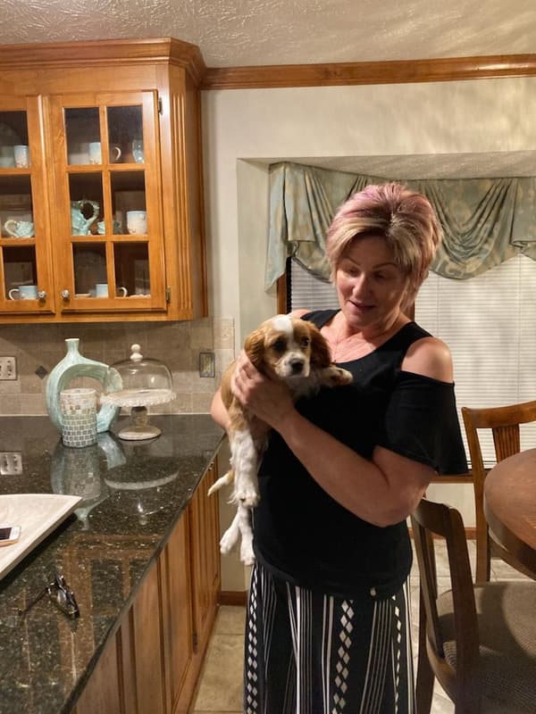 Customer photo of Cavalier King Charles Spaniel puppy from Donna Jean H.