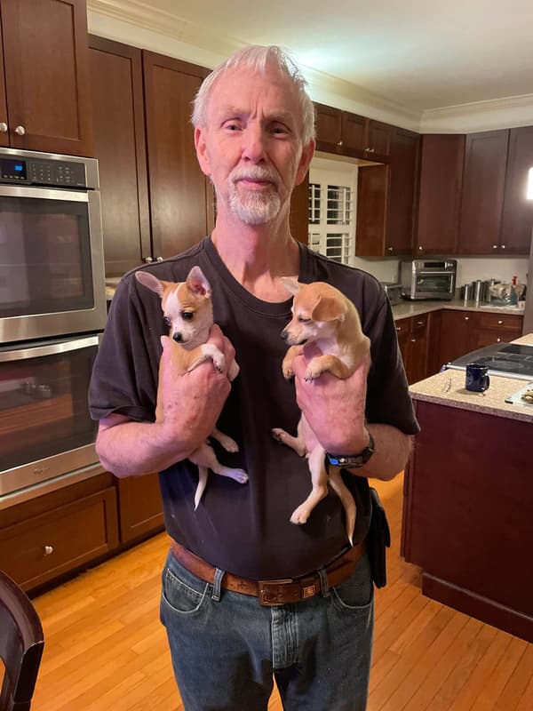 Customer photo of Chihuahua puppy from Brian M.