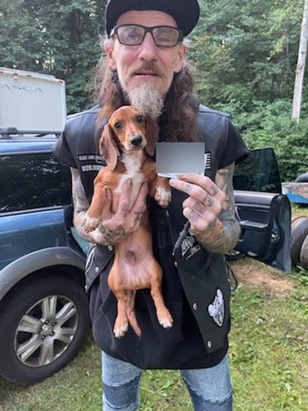 Customer photo of Dachshund puppy from Donald H.