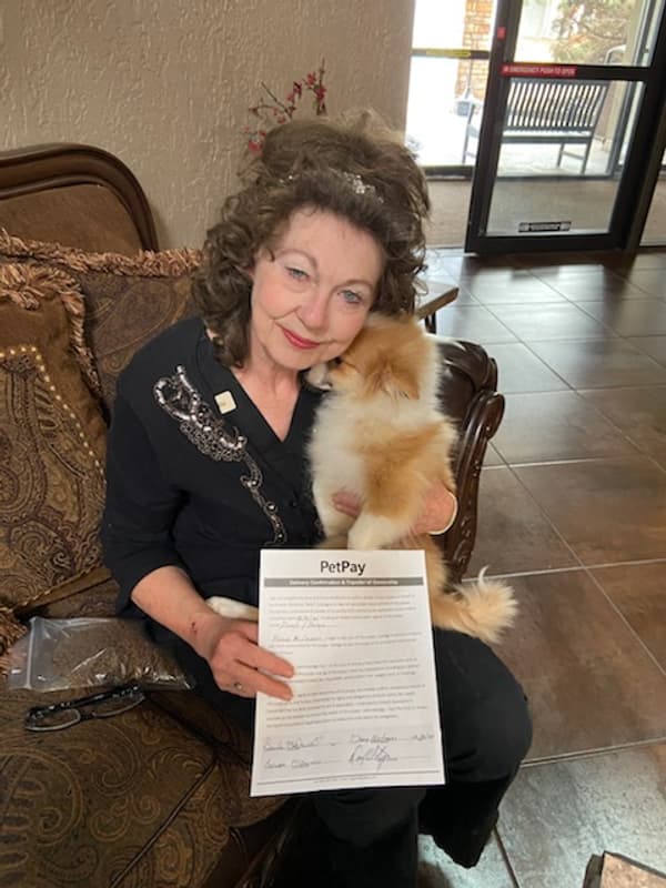 Customer photo of Pomeranian puppy from Brenda M.