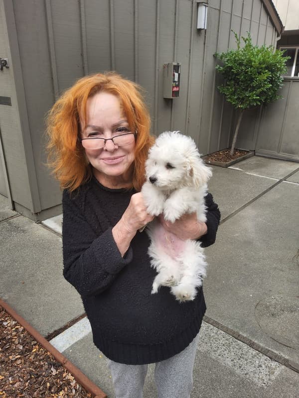 Customer photo of Bichon Frise puppy from Patti L.
