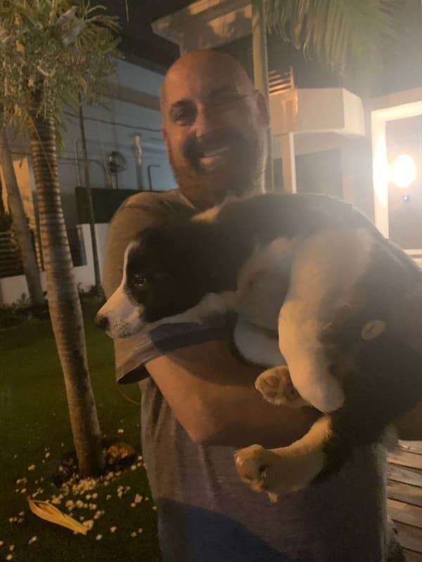 Customer photo of Border Collie puppy from Paul W.