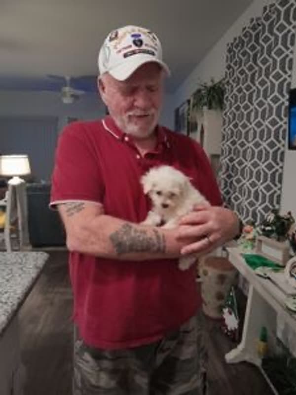 Customer photo of Bichon Frise puppy from Frederick C.