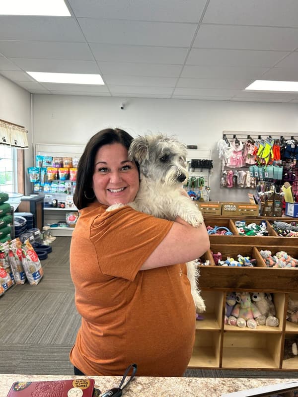 Customer photo of Schnauzer, Miniature puppy from Cari C.