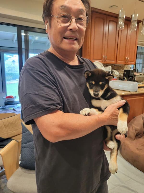 Customer photo of Shiba Inu puppy from Ben H.