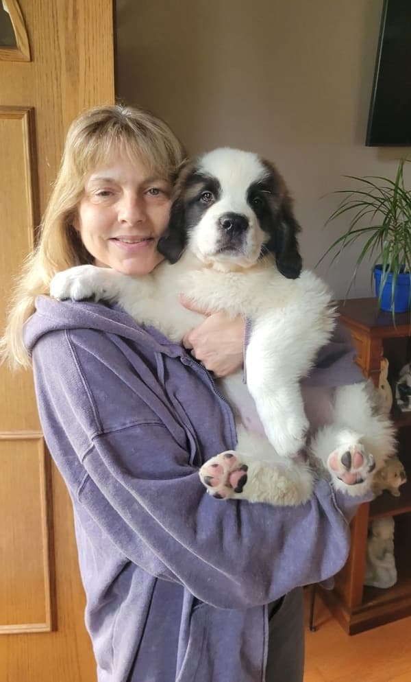 Customer photo of Saint Bernard - St. Bernard puppy from Patti W.